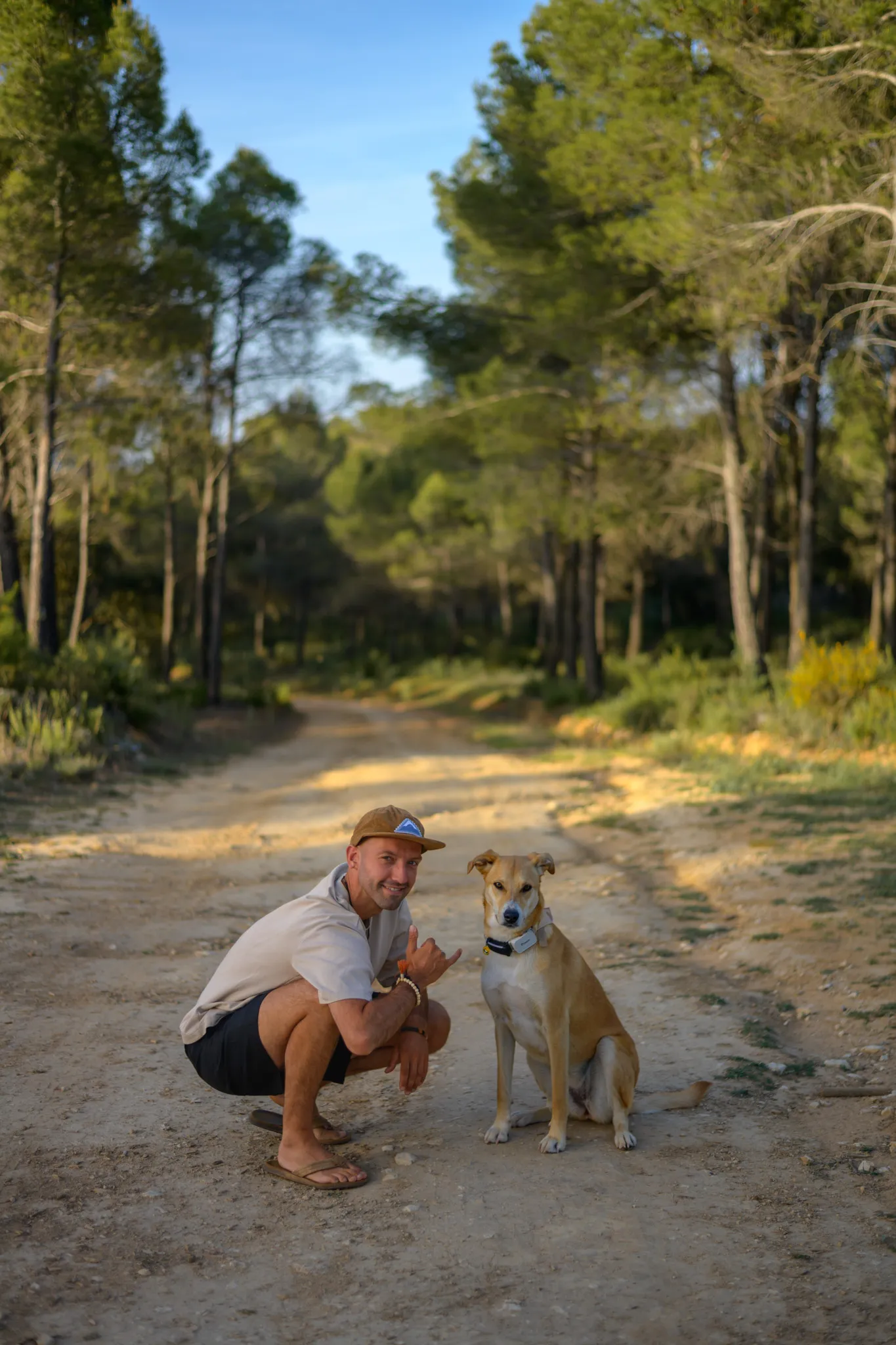 Djordy en Nala op een bospad, onderweg in Europa.